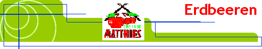  Erdbeeren 